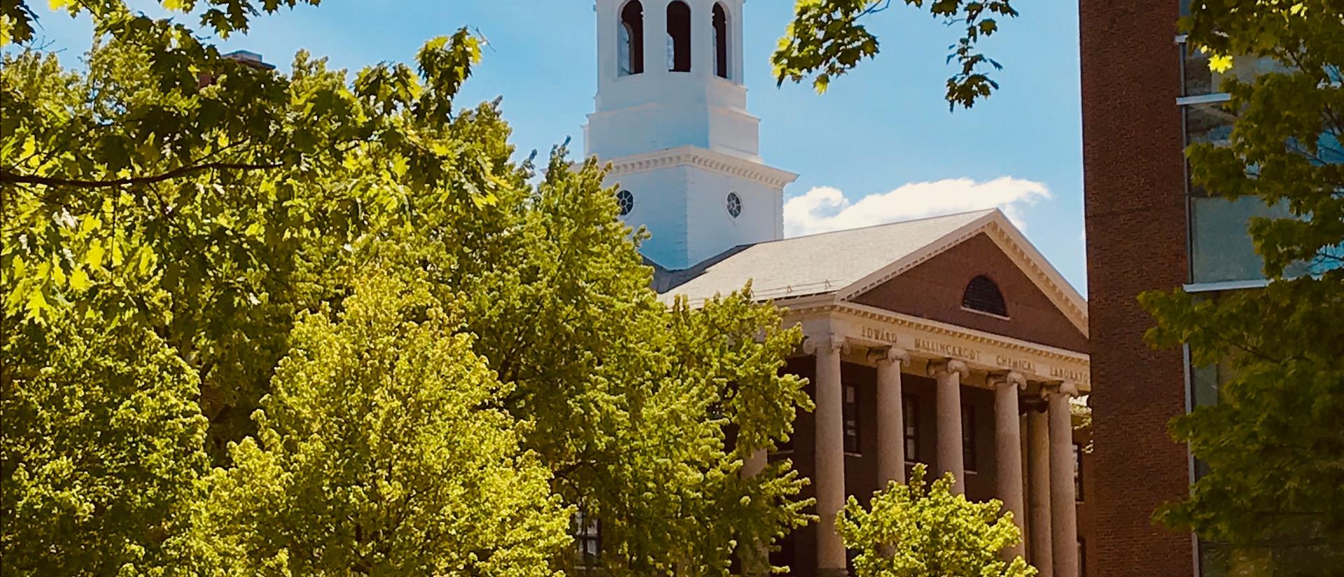 harvard